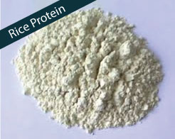 Rice Protien